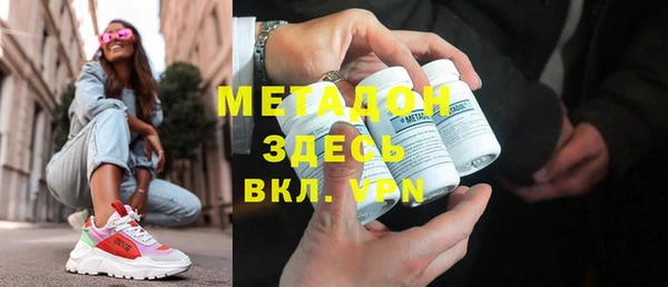 индика Алексин