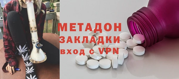 индика Алексин