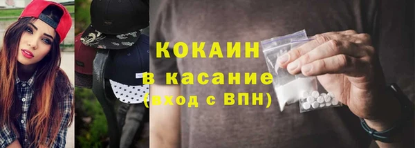 индика Алексин