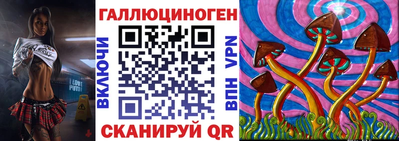 блэк спрут tor  где можно купить наркотик  Новокузнецк  Галлюциногенные грибы Psilocybe 