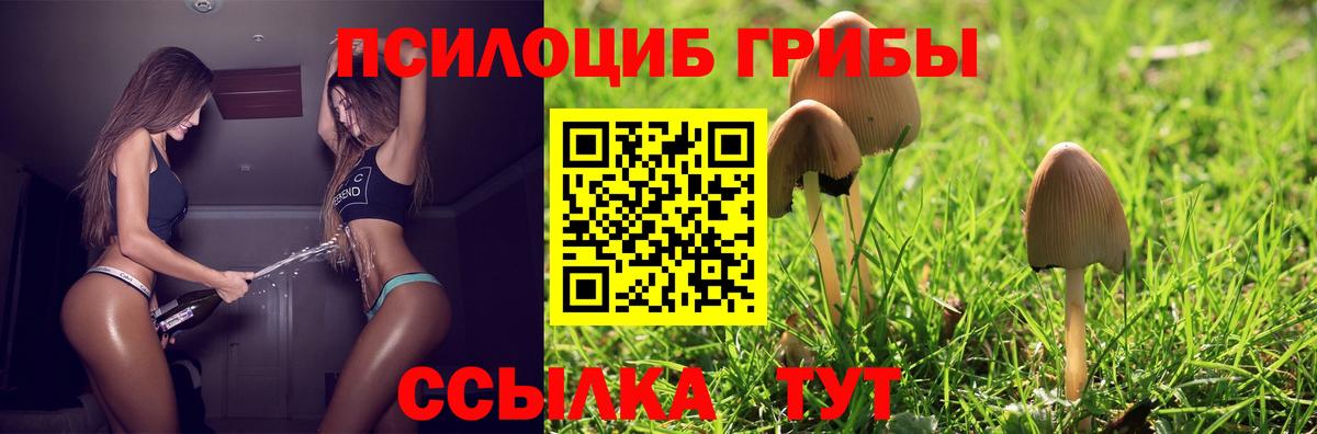 Галлюциногенные грибы GOLDEN TEACHER Новокузнецк